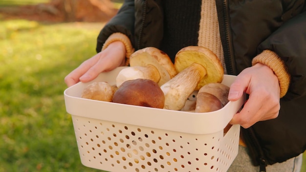 Una mujer sostiene una canasta con champiñones boletus Primer plano