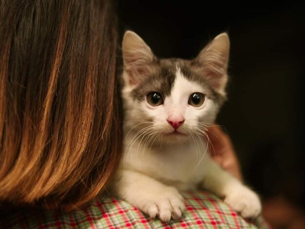 Una mujer sostiene un gato en sus brazos, el gato mira a la cámara.