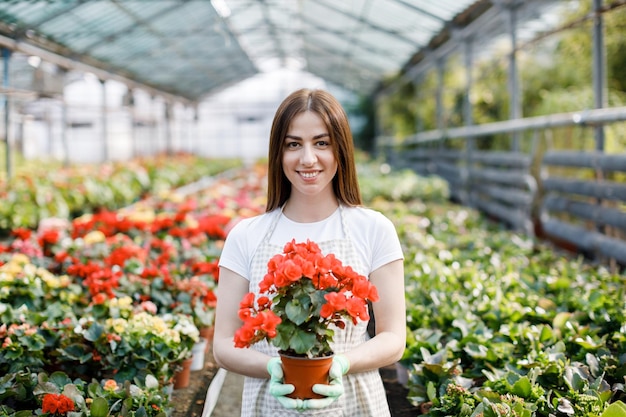 La mujer sostiene una maceta de flores en sus manos cultivando plantas para la venta de plantas como flores de regalo en una planta en maceta de invernadero