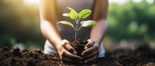 una mujer sostiene una planta en sus manos