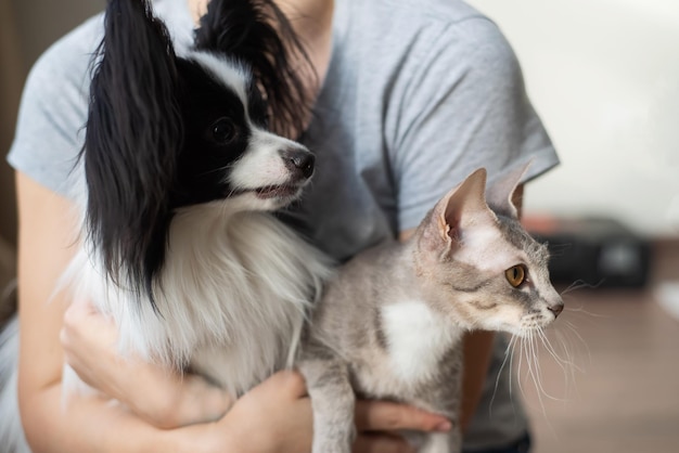 Una mujer sostiene en sus manos un gato esfinge cepillo y un perro papillon