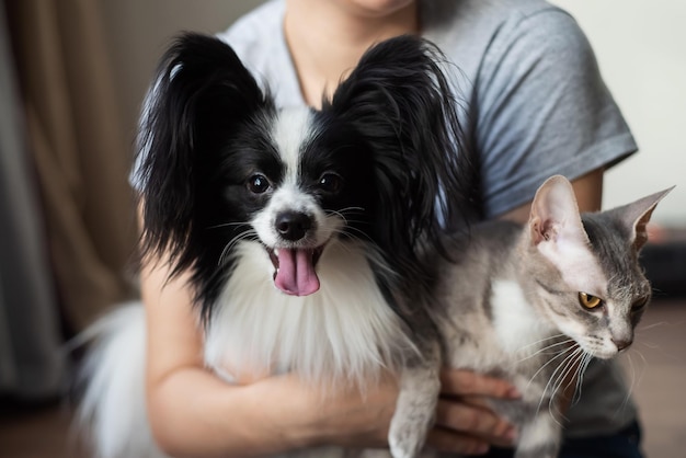 Una mujer sostiene en sus manos un gato esfinge cepillo y un perro papillon