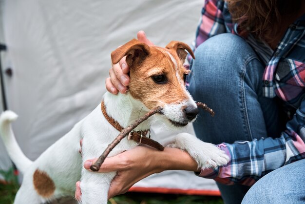 Mujer con su perro cachorro jack russell terrier al aire libre. Relaciones y concepto de cuidado de mascotas.