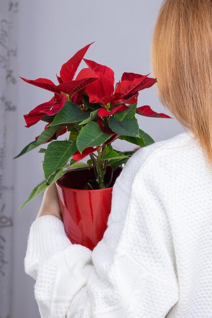 Mujer en un suéter blanco de pie con la espalda sosteniendo una olla con flor de nochebuena de Navidad.