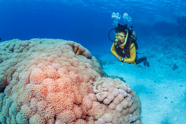 Una mujer se sumerge en un arrecife tropical de fondo azul.