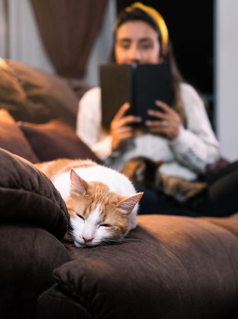 Una mujer y sus compañeros felinos se relajan juntos sentados en un sofá