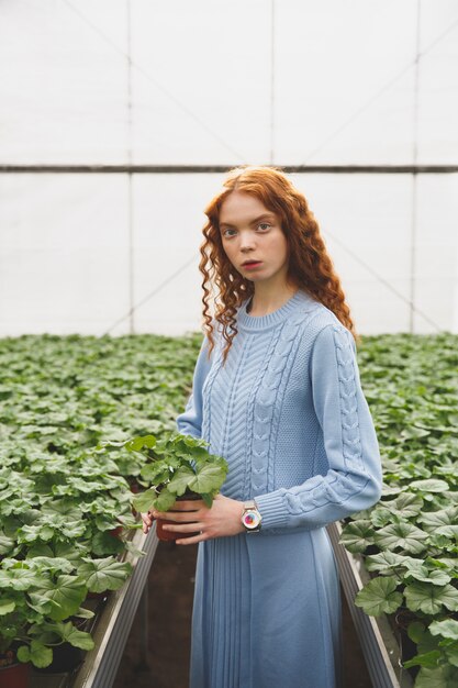 Mujer, tenencia, planta verde