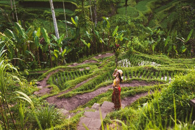 Mujer en la terraza de arroz de Tegalalang en Bali
