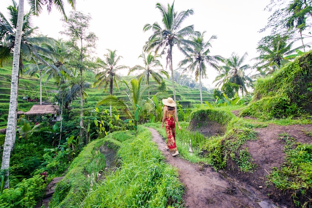 Mujer en la terraza de arroz de Tegalalang en Bali