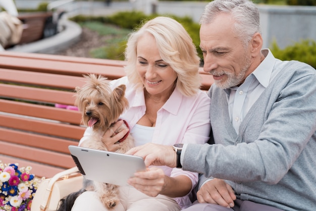 la mujer tiene perro, el hombre sostiene la computadora portátil en su regazo.