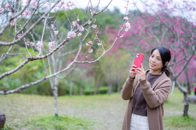 Mujer toma una foto del árbol de sakura en el parque