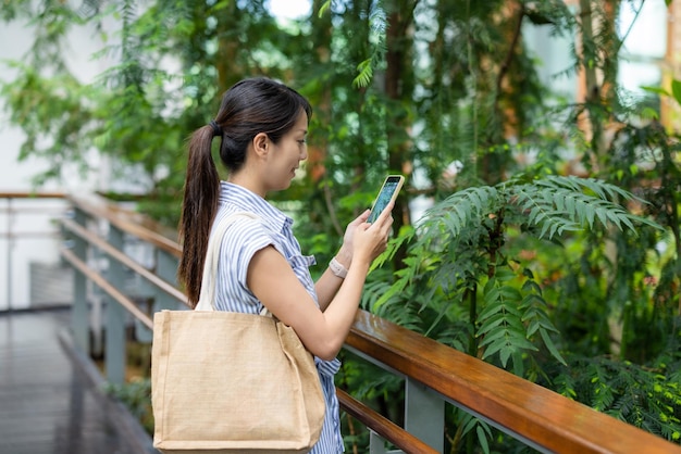 La mujer toma una foto con el teléfono móvil en la planta