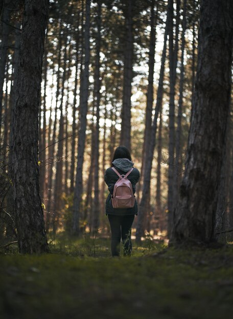 mujer, toma, fotografía, en, bosque