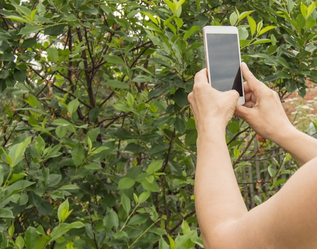 Una mujer toma una fotografía con un teléfono móvil, tomando fotografías de plantas y árboles en un jardín al aire libre