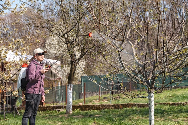 La mujer trabaja en el jardín y rocía químicos de rociadores recargables contra plagas en el árbol frutal