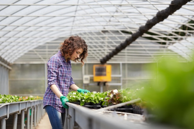 Mujer trabajando con plantas en el invernadero