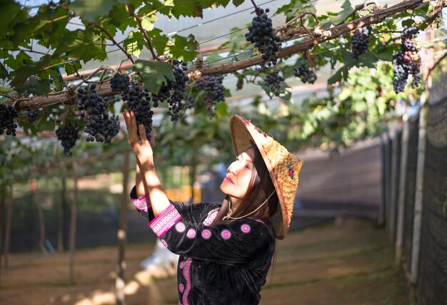 Foto mujer trabajando en el viñedo