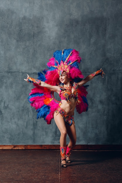 Mujer en traje de carnaval de samba brasileña con plumaje de plumas de colores.