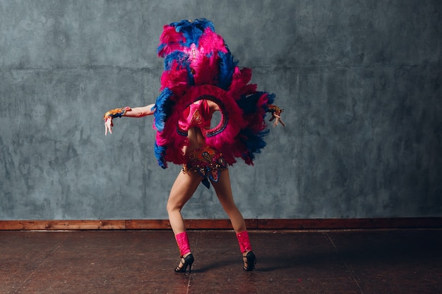 Mujer en traje de carnaval de samba brasileña con plumaje de plumas de colores.