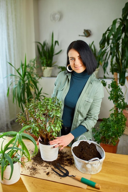 Mujer trasplantando la planta de Crassula a una maceta nueva en casa