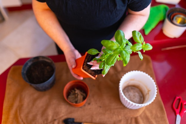 Foto mujer trasplantando una planta