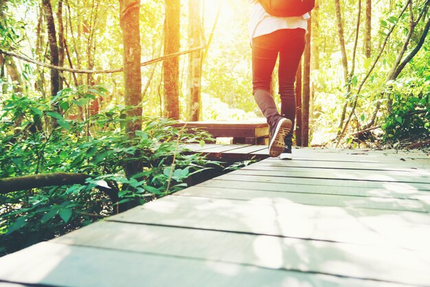 Foto mujer trekking en el bosque y la luz del sol