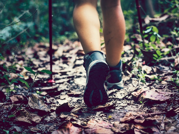 Foto mujer trekking en un bosque