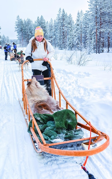 Mujer con trineo de perros de la familia Husky en invierno Rovaniemi de Finlandia de Laponia. Persona y paseo en trineo de perros en Noruega. Trineos de animales en la granja finlandesa, Navidad. Trineo. Safari en trineo y paisaje de Alaska