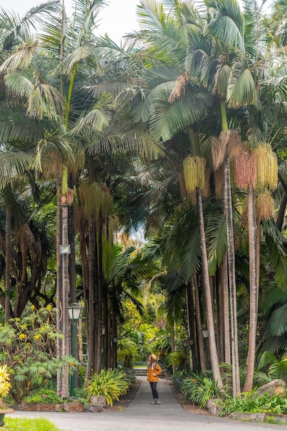 Una mujer turista caminando en un jardín botánico tropical con grandes palmeras a lo largo de un camino foto vertical