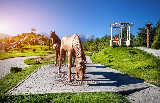 Mujer turista en el parque con caballos