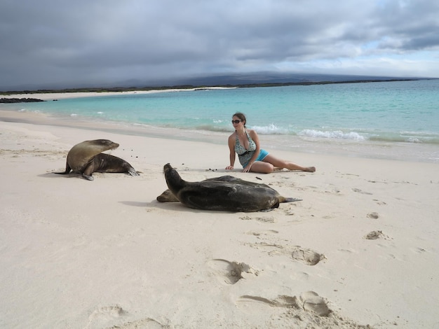 Mujer turista pone entre focas en la playa