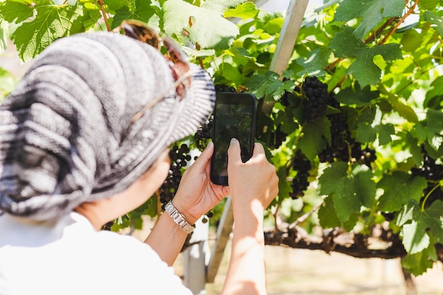 Foto mujer turista tomando una foto de uva con