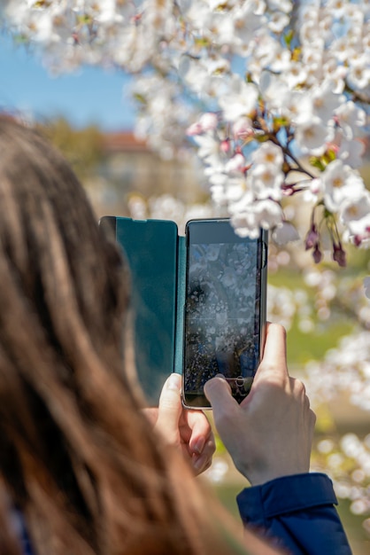 Mujer turista viaja a Japón tomando fotografías de la flor de sakura con la cámara de un teléfono móvil. Temporada de flor de cerezo de primavera.