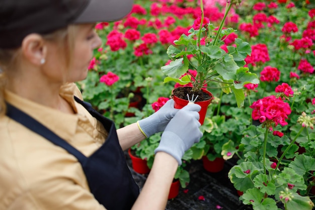 Mujer en uniforme trabaja en un vivero de flores.