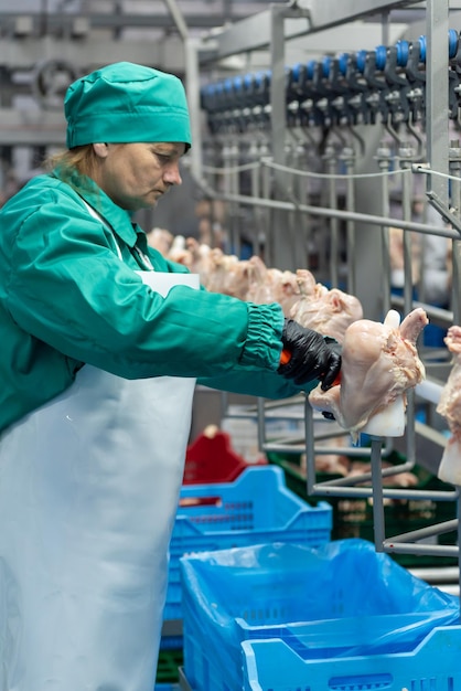 Una mujer con uniforme verde se para en una fábrica con un pollo en la mano izquierda.