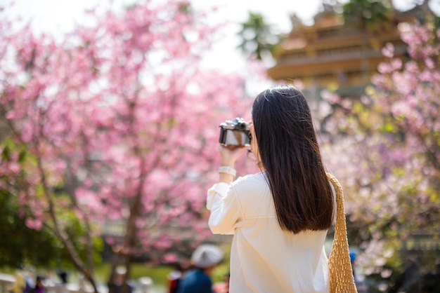 Mujer usa cámara digital para tomar fotos en el árbol de sakura