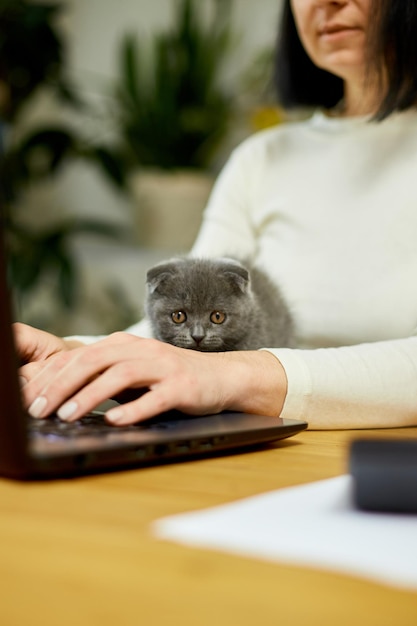 La mujer usa un estilo cómodo está trabajando en una computadora portátil negra y el gatito está sobre la mesa