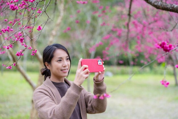 Mujer usa su teléfono móvil para tomar fotos en el árbol de sakura