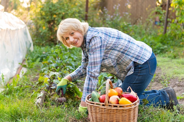 Mujer con verduras frescas en una cesta en el jardín en otoño