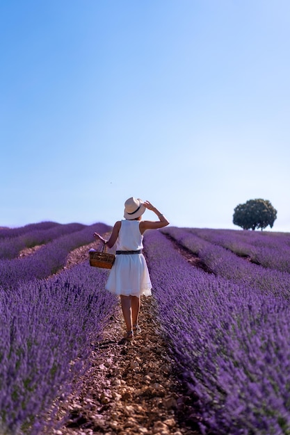 Una mujer con un vestido blanco en un campo de lavanda de verano con un sombrero Brihuega Guadalajara