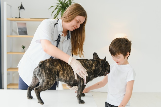 Mujer veterinaria examina al perro y acaricia su Hospital de salud animal con ayuda profesional para mascotas