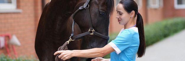 Mujer veterinaria hace examen médico de caballo en granja