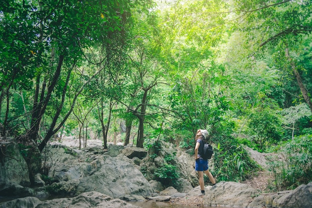 Mujer de viaje escalada en roca, el camino a la cascada en el parque natural