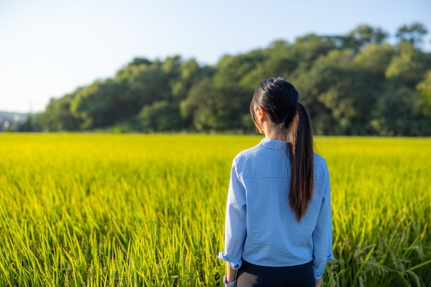 Mujer viajera en el campo de arroz