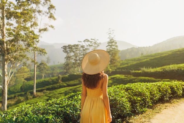 Mujer viajera en las plantaciones de té en Nuwara Eliya, Sri Lanka