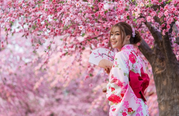 Mujer en yukata (vestido de kimono) sosteniendo abanico plegable y mirando flor de sakura o flor de cerezo que florece en el jardín