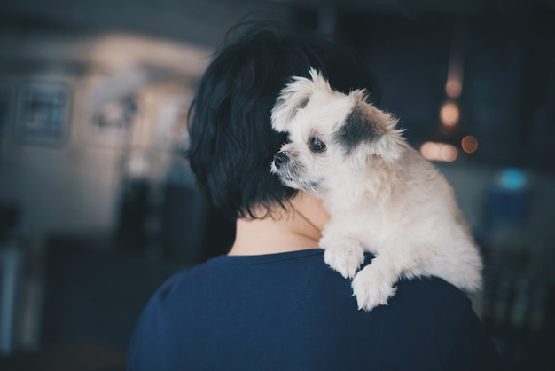 Las mujeres asiáticas y el perro se mezclaron con Shih-Tzu, Pomeranian y Poodle en la cafetería