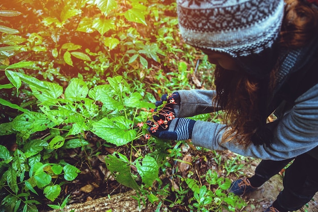 Las mujeres asiáticas viajan Naturaleza. Viajar relajarse. Mano toque Flor. camina en el bosque.