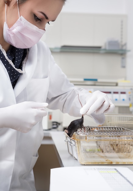 Mujeres científicas manejan ratón de laboratorio