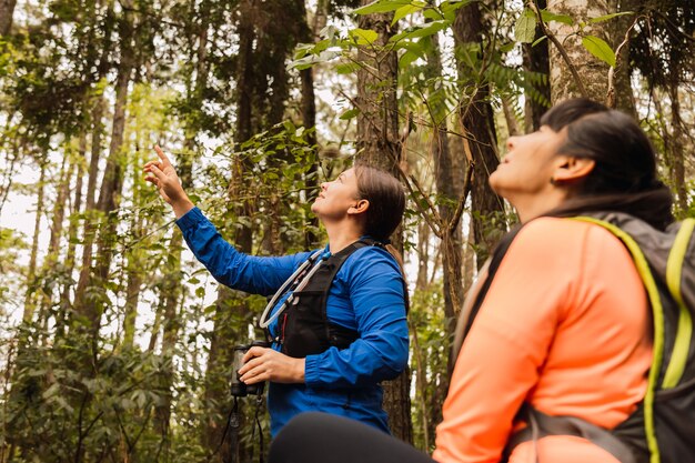 Las mujeres deportistas descansan en la selva.